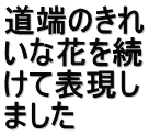 道端のきれ いな花を続 けて表現し ました