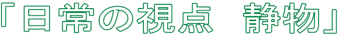 「日常の視点　静物」