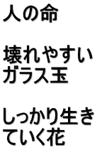 人の命　  壊れやすい ガラス玉  しっかり生き ていく花