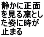 静かに正面 を見る凜とし た姿に時が 止まる