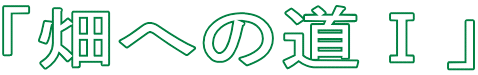 「畑への道Ⅰ」
