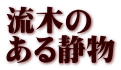 流木の ある静物